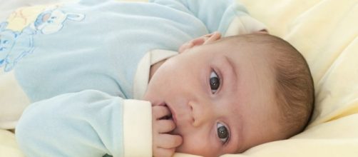 Brain scan predicts autism in babies - phpdrill.com