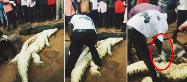 Criança é achada morta na barriga de crocodilo - Google Criança é achada morta na barriga de crocodilo - Google