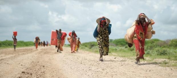 More than 6 million people in Somalia are starving (via bread.org) More than 6 million people in Somalia are starving (via bread.org)