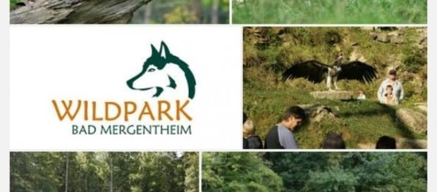 Wildpark Bad Mergentheim der grösste Europas Wildpark Bad Mergentheim der grösste Europas