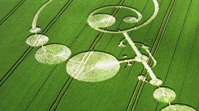 Crop circle appears in Dorset field sparking interest in who or ... - dailymail.co.uk