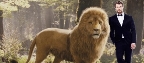 Most anticipated live action remakes - djpaint96.deviantart.com/art/Lion-King-Reborn-2017-Simba-voice-Chris-Hemsworth-617480371
