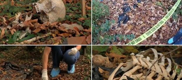 1000+ images about The Body Farm on Pinterest | Tennessee, Popular ... - pinterest.com 1000+ images about The Body Farm on Pinterest | Tennessee, Popular ... - pinterest.com