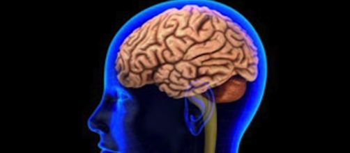 Brain tumors - theverge.com/2017/2/6/14525164/stem-cells-human-skin-brain-cancer-tumors-glioblastoma
