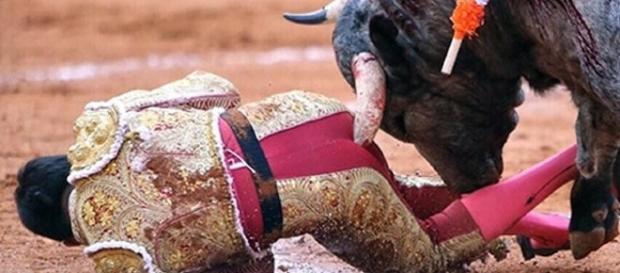 O touro Caporal chifra Romero em arena mexicana | Reprodução/Twitter(La Razón) O touro Caporal chifra Romero em arena mexicana | Reprodução/Twitter(La Razón)