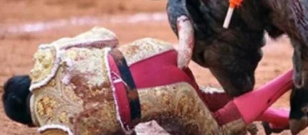 Toureiro é rasgado e tem ferimento anal Toureiro é rasgado e tem ferimento anal