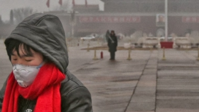 Inquinamento da piombo e sviluppo intellettivo nei bambini