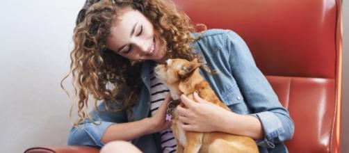 Do You Love Your Dog More Than Humans? | Wellness | US News - usnews.com