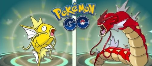 "Pokemon Go" Shiny Pokemon Caught, Another Ditto Case? (Keibron Gamer/YouTube)