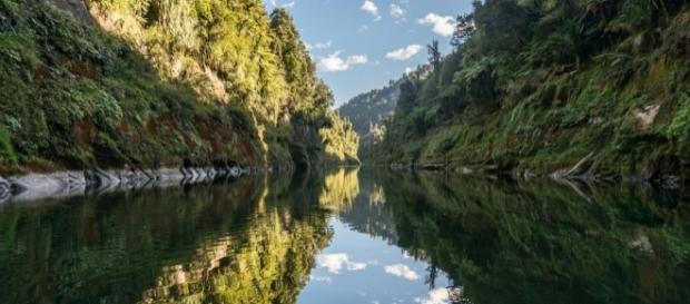 Afternoon shadows, Whanganui River | Late in the afternoon w… | Flickr - flickr.com Afternoon shadows, Whanganui River | Late in the afternoon w… | Flickr - flickr.com