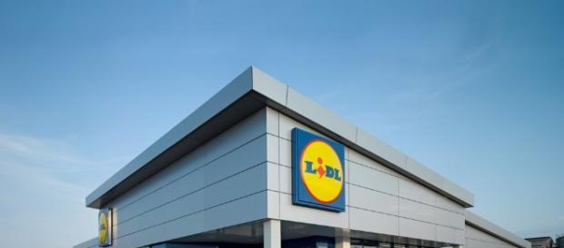 Lavoro, Lidl investe in Emilia Romagna: 40 nuove assunzioni - bolognatoday.it Lavoro, Lidl investe in Emilia Romagna: 40 nuove assunzioni - bolognatoday.it