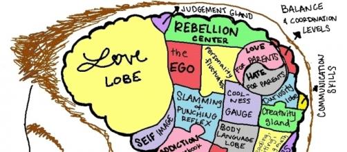 The Purpose Of Teenage Brain >> Human Evolution Shaped The Development Of The Teenage Brain The Purpose Of Teenage Brain >> Human Evolution Shaped The Development Of The Teenage Brain