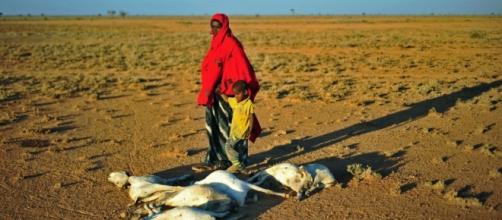Somalia, drought, Famine humanitarian aid - voanews.com
