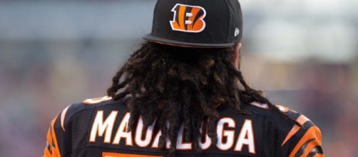 Rey Maualuga: Are the Bengals Moving On? - stripehype.com
