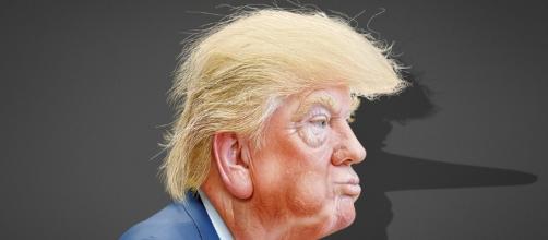 Trump-idied Photo Credit: Donkeyhotey