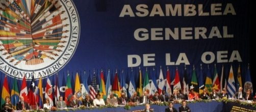Solicitarán a la OEA que acompañe el proceso del referéndum ... - elvenezolanonews.com
