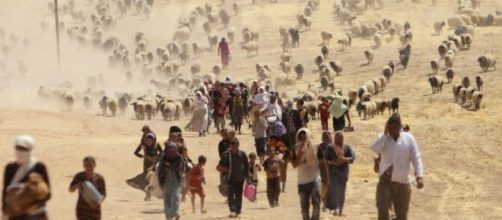 Yazidi alla ricerca della salvezza