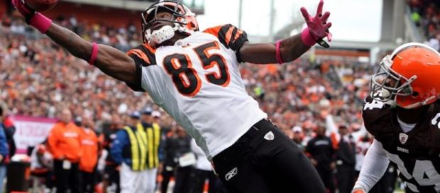Chad Johnson jugará en la LFA con los Dinos Chad Johnson jugará en la LFA con los Dinos