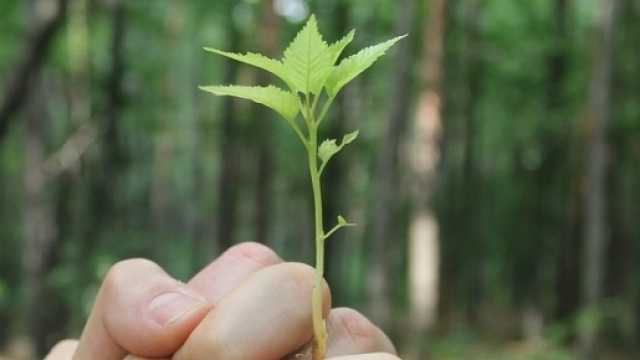Lavorare come facilitatore ambientale