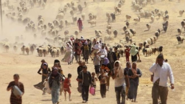 Yazidi alla ricerca della salvezza