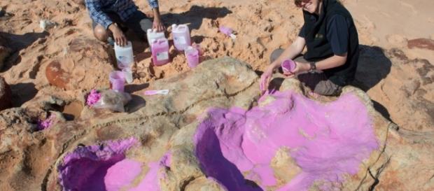 Australie : découverte rare d'empreintes de dinosaures - Le Parisien - leparisien.fr Australie : découverte rare d'empreintes de dinosaures - Le Parisien - leparisien.fr