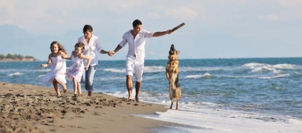 La vida es un increíble viaje en el que todos somos uno La vida es un increíble viaje en el que todos somos uno