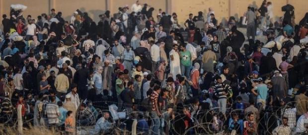 Migranti al confine con l'Ungheria. Migranti al confine con l'Ungheria.