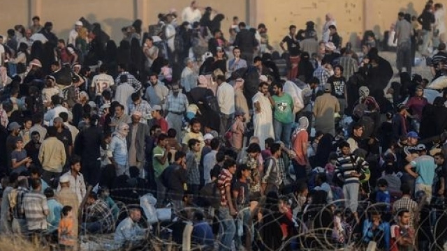 Migranti al confine con l'Ungheria.