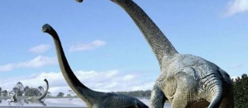 Dinosauri, orma più grossa del pianeta in Australia