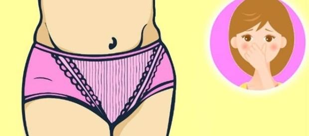 Aprenda a eliminar o mau cheiro da vagina com alguns produtos naturais Aprenda a eliminar o mau cheiro da vagina com alguns produtos naturais