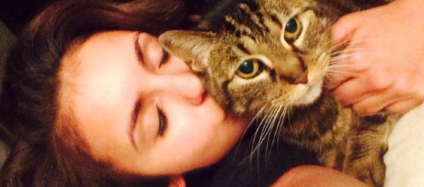 Nina Dobrev e sua gata de estimação Nina Dobrev e sua gata de estimação