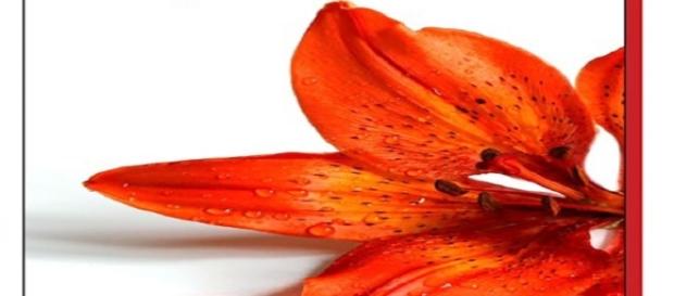 Giovane Vita: la raccolta poetica di Valeria Catuogno. Giovane Vita: la raccolta poetica di Valeria Catuogno.