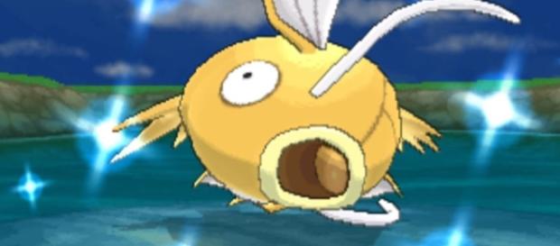 ‘Pokemon GO’: new trick to get a golden Magikarp (Photo via Rahul Desai, Wikimedia.) ‘Pokemon GO’: new trick to get a golden Magikarp (Photo via Rahul Desai, Wikimedia.)