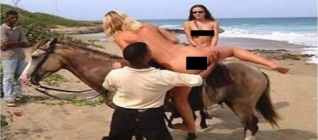 Se você pensa em ir a praia de nudismo, não pode deixar de fazer essas coisas. Se você pensa em ir a praia de nudismo, não pode deixar de fazer essas coisas.
