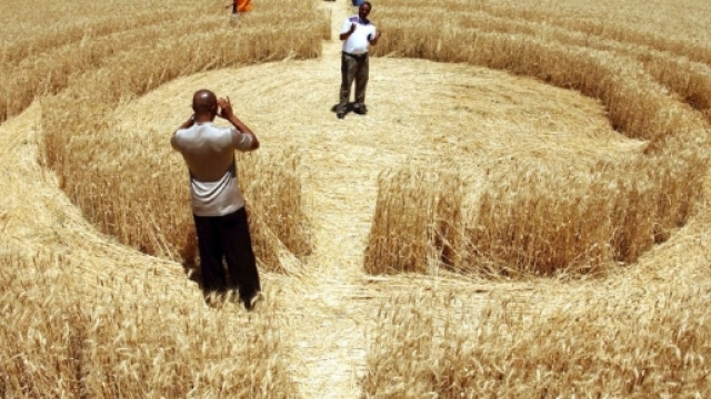 Il mistero dei cerchi nel grano (crop circle) - Focus.it - focus.it