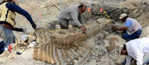 Dinosaur Tail In Mexico Desert Is A Staggering 16-Feet In Length ... - isciencetimes.com