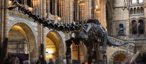 Largest-Ever Dinosaur Footprint Found In 'Australia's Jurassic ... - inquisitr.com Largest-Ever Dinosaur Footprint Found In 'Australia's Jurassic ... - inquisitr.com