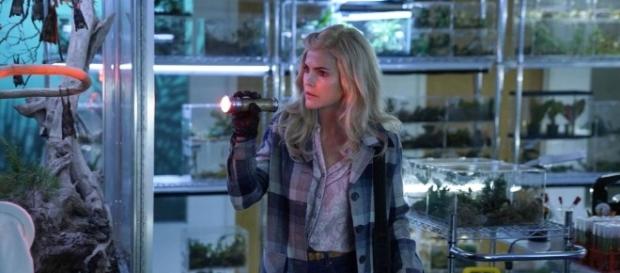 The insect warfare on 'The Americans' isn't all that outlandish ... - telegram.com The insect warfare on 'The Americans' isn't all that outlandish ... - telegram.com