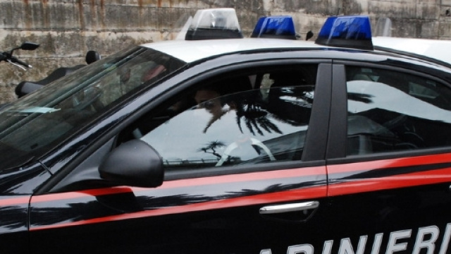 Trapani, calci al proprio cane. Intervengono i carabinieri ... - tp24.it