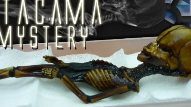 Atacama Humanoid | Sirius Disclosure - siriusdisclosure.com