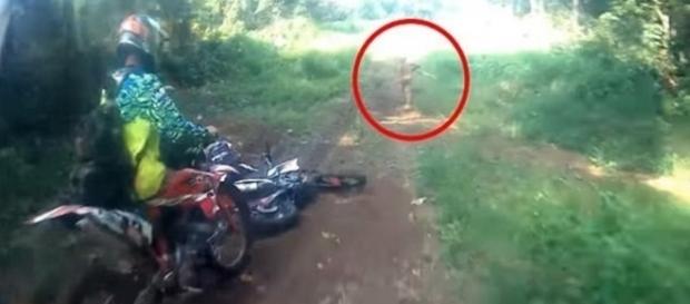 Homens flagraram criatura estranha correndo na floresta na Indonésia. Homens flagraram criatura estranha correndo na floresta na Indonésia.