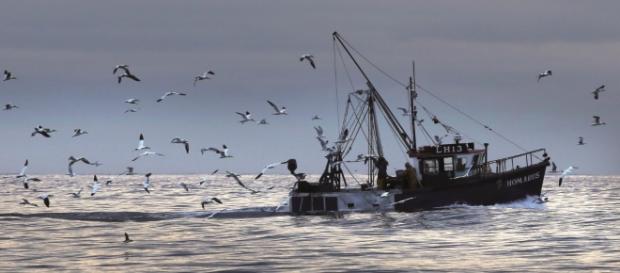 Owen Paterson: How we can reset our fisheries policy – and empower ... - politicshome.com Owen Paterson: How we can reset our fisheries policy – and empower ... - politicshome.com
