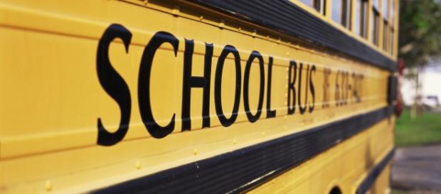 This is the School Bus in the USA This is the School Bus in the USA