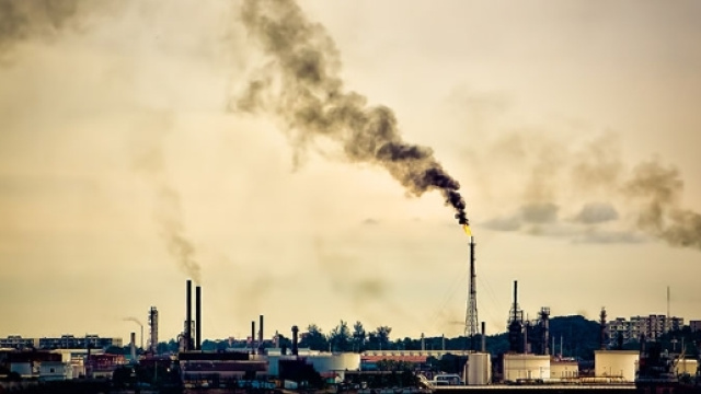 Inquinamento da piombo e sue conseguenze. Come ridurre l'esposizione e disintossicare l'organismo con rimedi naturali vitocausarano.it