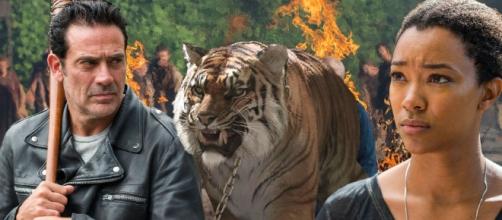 The Walking Dead death predictions: 12 characters who could die in ... - digitalspy.com