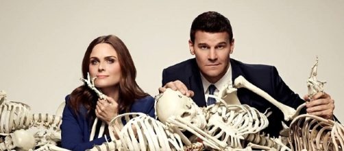 Bones Cast and Producers Talk About Possibilities of a Reunion - goshtv.net