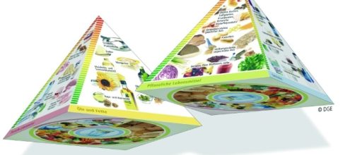 Qué son las Pirámides Alimentarias? Su importancia para la salud ... - wordpress.com