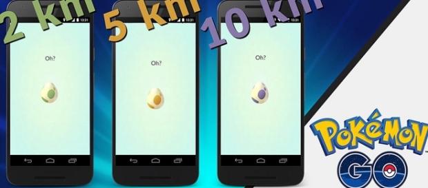 Pokemon Go Eggs/ Photo via 羽諾 諾咪, Flickr Pokemon Go Eggs/ Photo via 羽諾 諾咪, Flickr