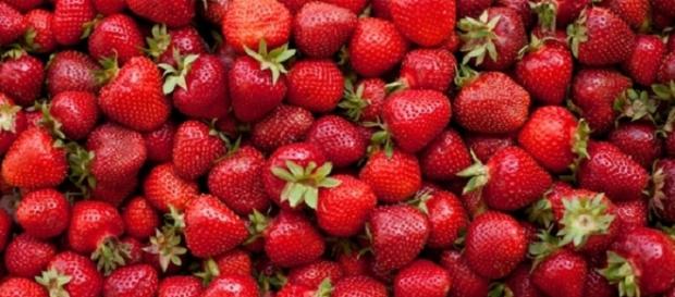 Une très mauvaise nouvelle pour les amateurs de fraises! Une très mauvaise nouvelle pour les amateurs de fraises!