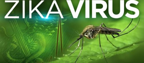 Zika Virus « CBS Pittsburgh - cbslocal.com